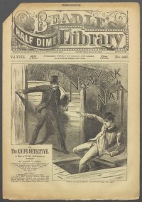 Large Thumbnail For Beadle's Half Dime Library 447 - New York Nat