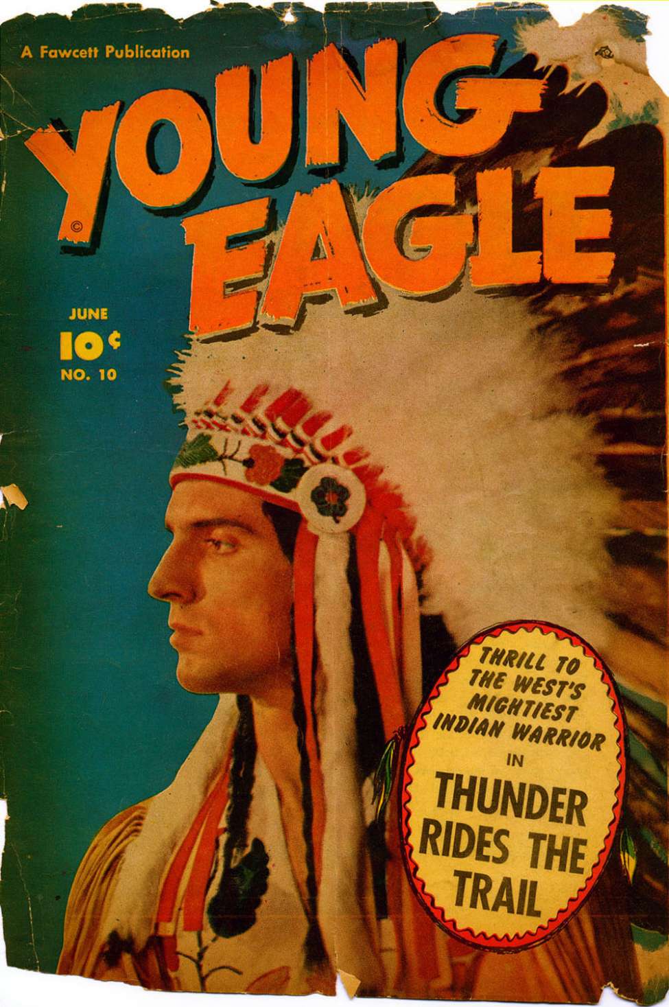 Book Cover For Young Eagle 10