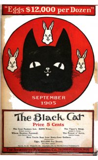 Large Thumbnail For The Black Cat v10 12 - The Lost Pasture Lot - Birdsall Jackson