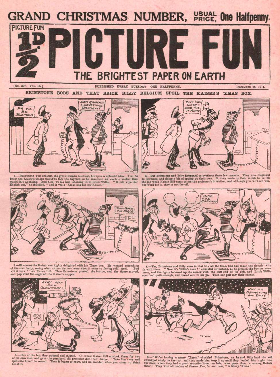 Book Cover For Picture Fun 307