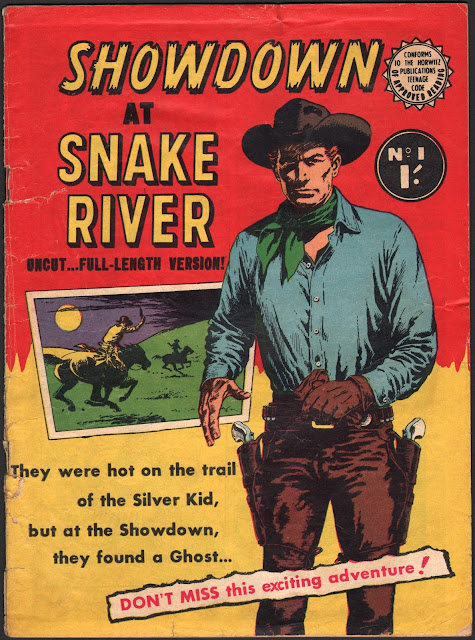 Book Cover For Showdown at Snake River