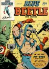 Cover For Blue Beetle 29