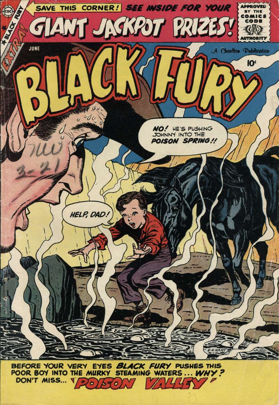 Comic Book Cover For Black Fury 19