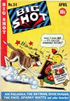Cover For Big Shot 34