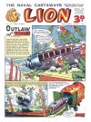 Cover For Lion 24