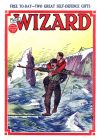 Cover For The Wizard 563