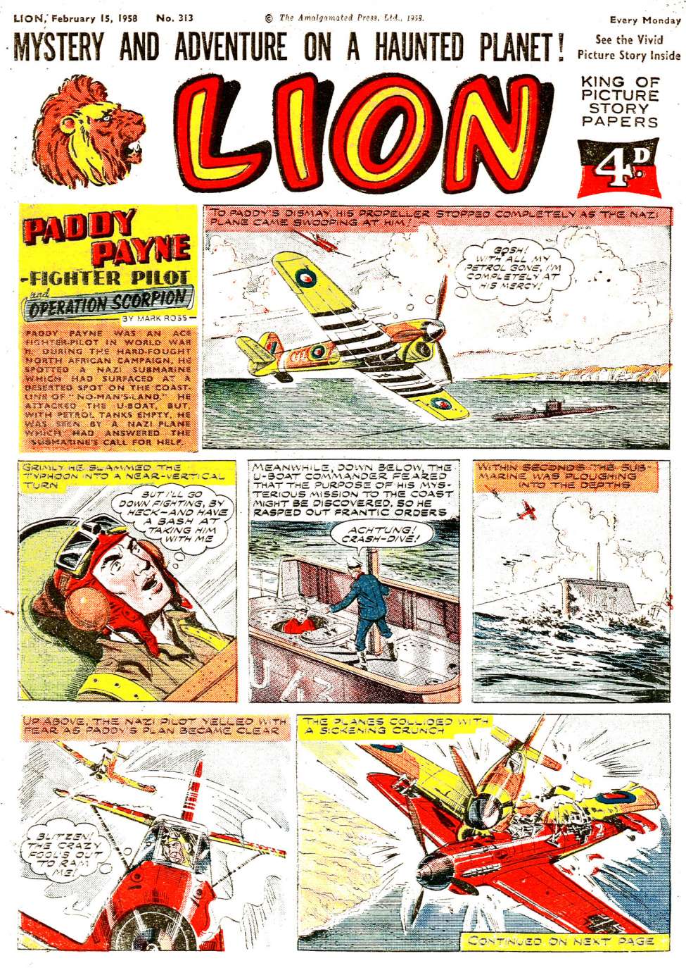 Book Cover For Lion 313