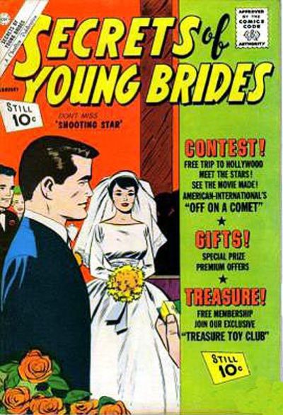 Book Cover For Secrets of Young Brides 29