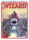 Cover For The Wizard 798