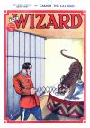 Cover For The Wizard 570