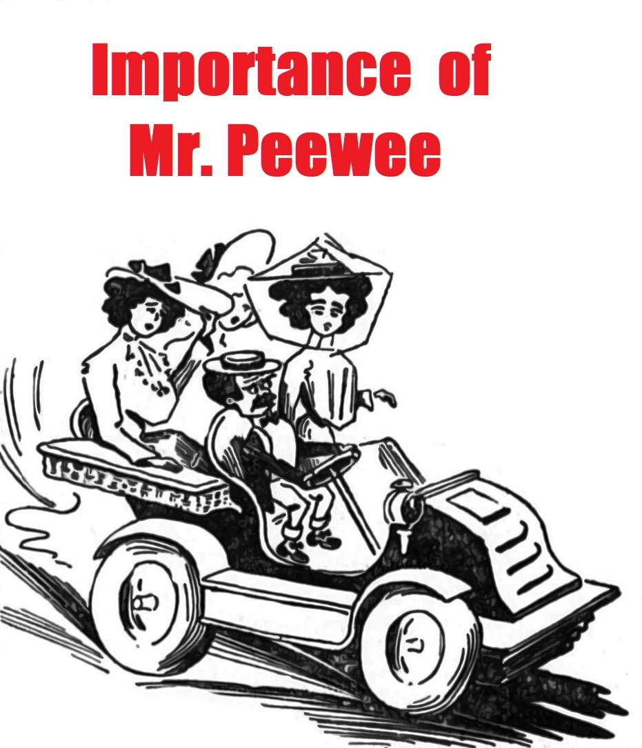 Book Cover For Importance of Mr. Peewee