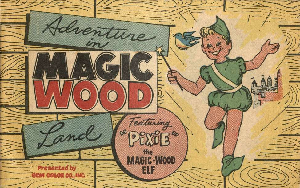 Book Cover For Adventure in Magic Wood Land