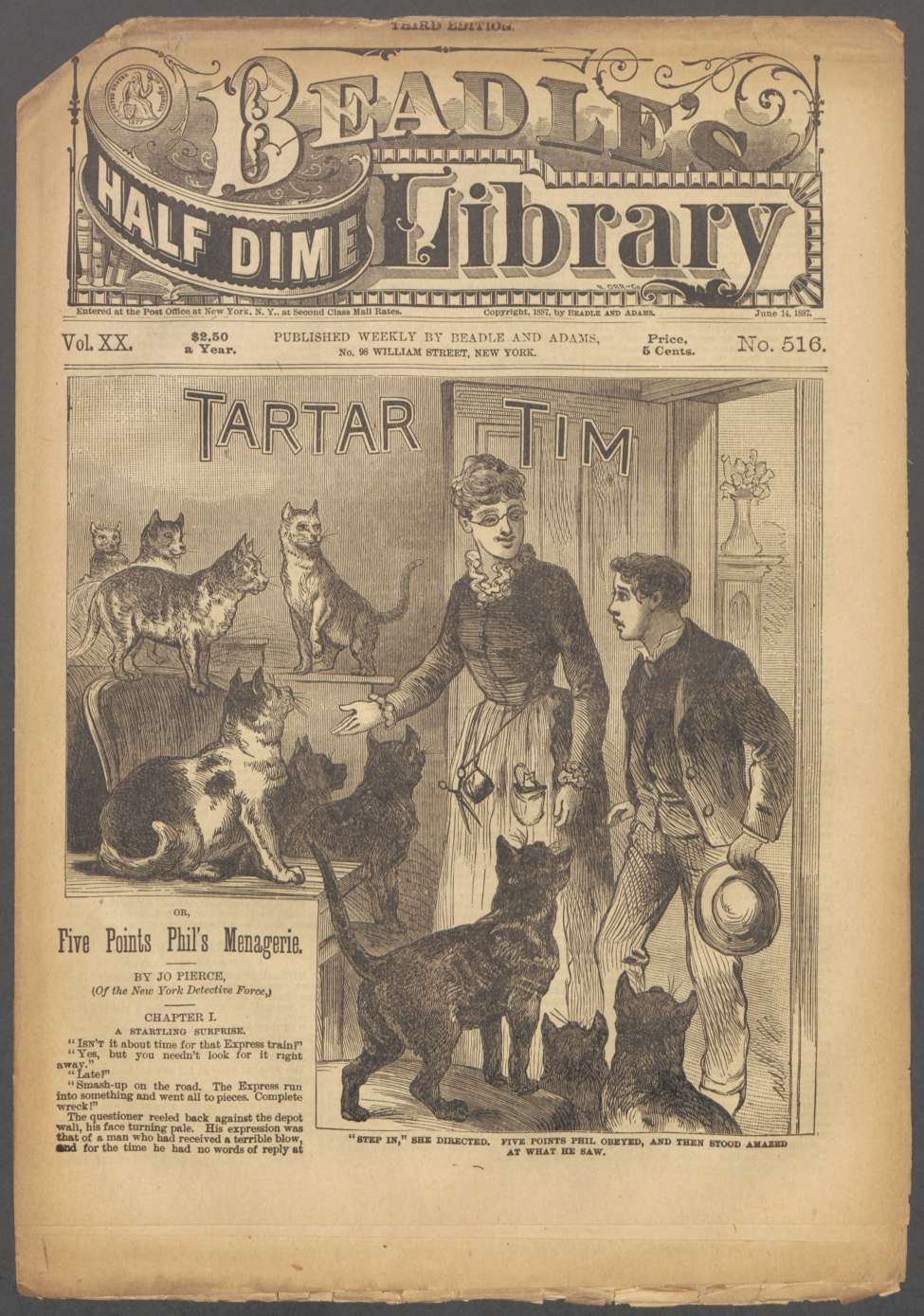 Book Cover For Beadle's Half Dime Library 516 - Tartar Tim