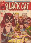 Cover For Black Cat 11