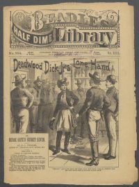 Large Thumbnail For Beadle's Half Dime Library 764 - Deadwood Dick Jr's Lone Hand