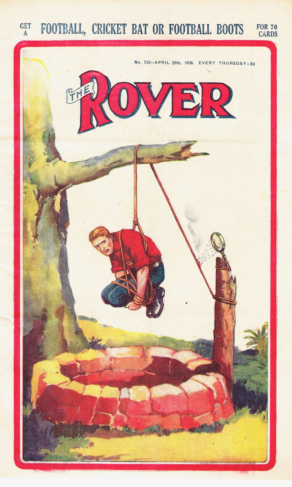 Book Cover For The Rover 732