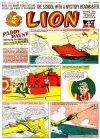 Cover For Lion 346