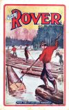 Cover For The Rover 251