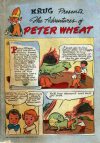 Cover For The Adventures of Peter Wheat 8