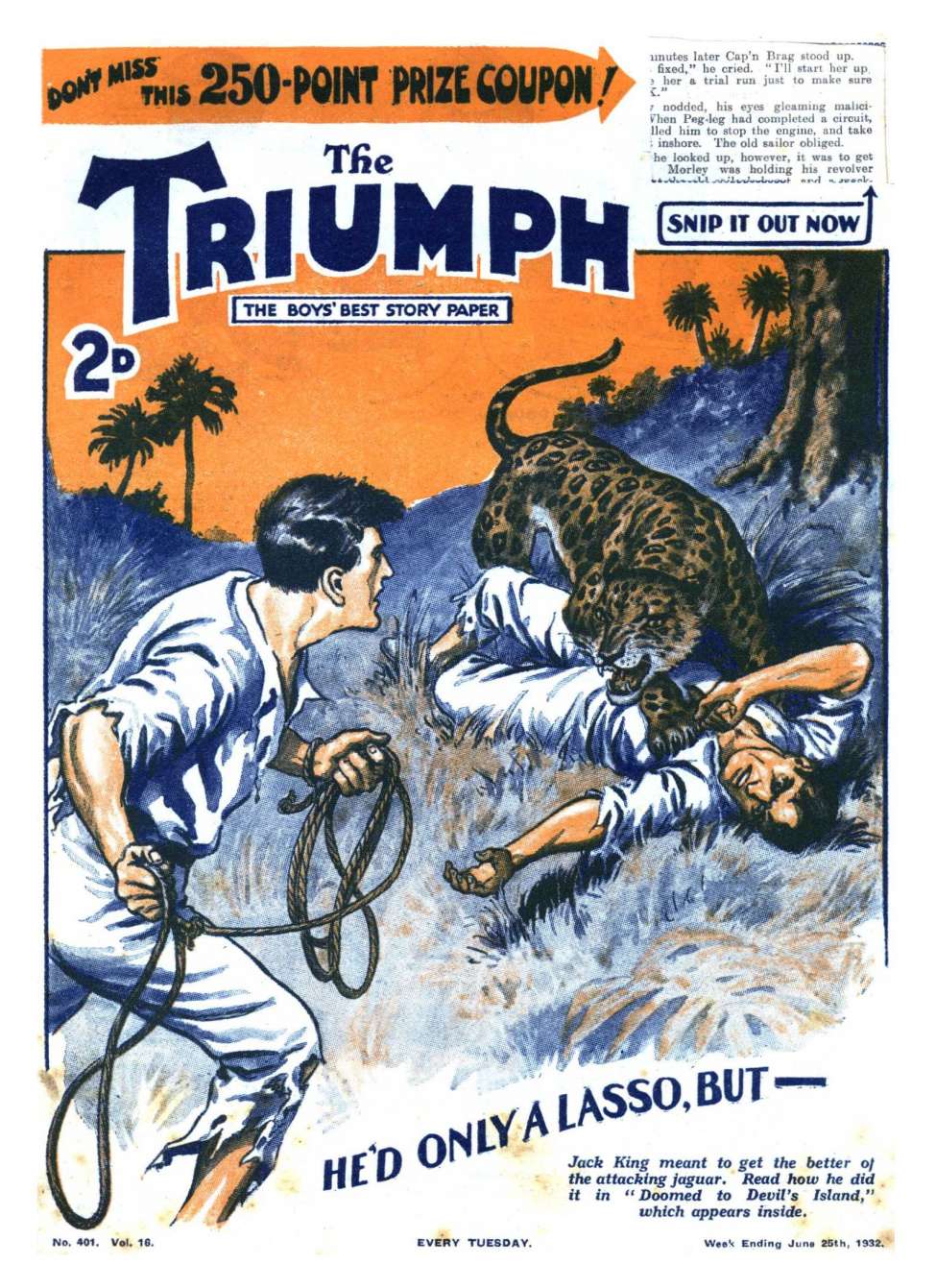 Book Cover For The Triumph 401 cut