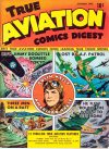 Cover For True Aviation Comics Digest 1