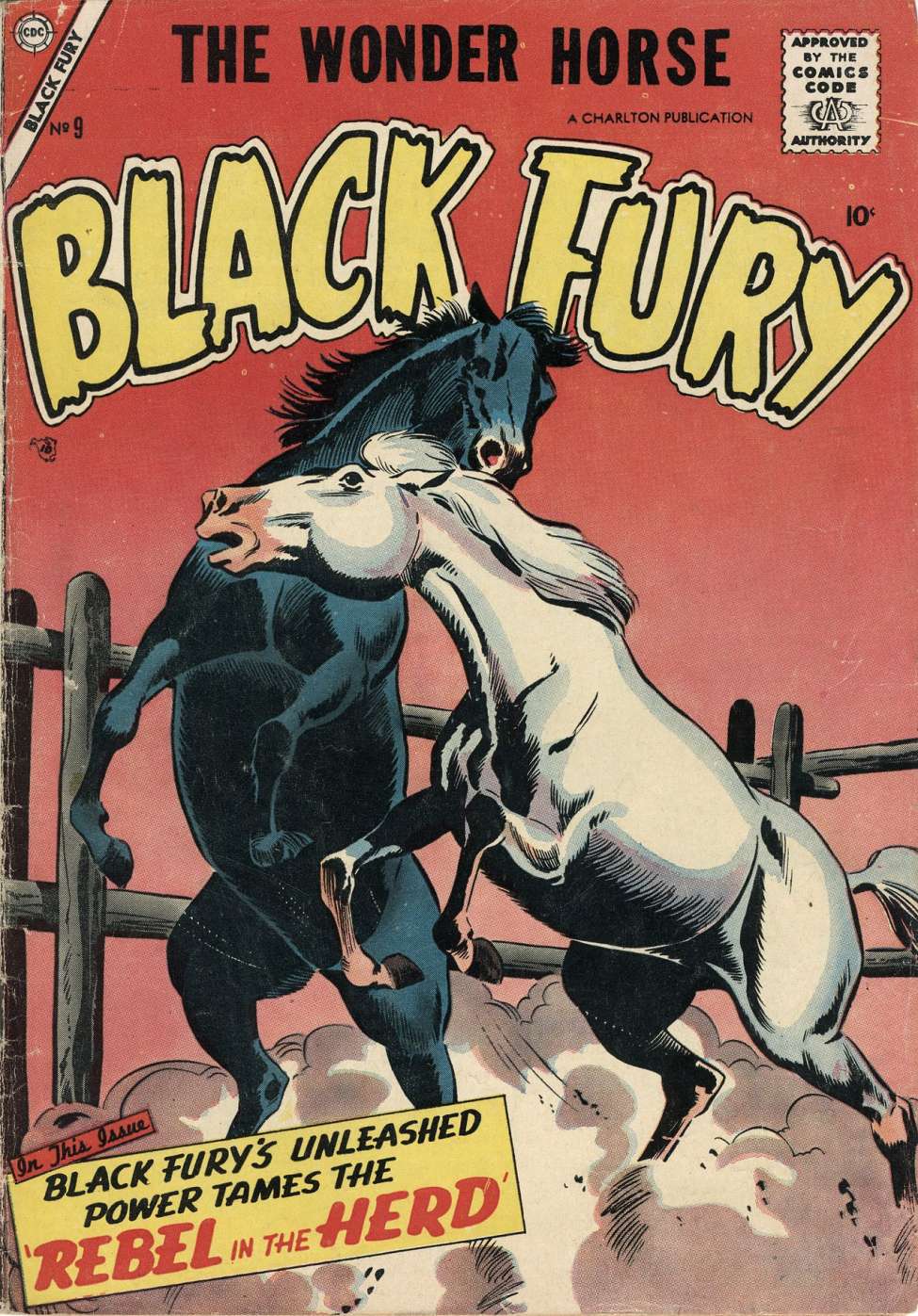 Comic Book Cover For Black Fury 9