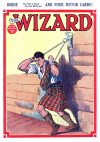 Cover For The Wizard 596