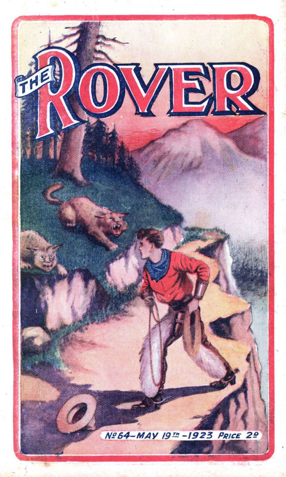 Book Cover For The Rover 64