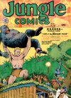 Cover For Jungle Comics 10