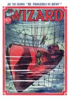 Cover For The Wizard 796