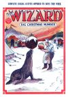 Cover For The Wizard 574