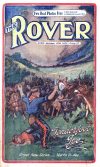 Cover For The Rover 33